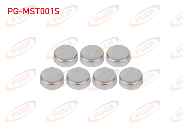 PUGA PG-MST001S | Motor Su Blok Tapası Takım Linea / Doblo / Egea / Palio / Albea 1.3 Mtj
