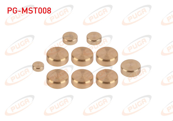 PUGA PG-MST008 | Motor Su Blok Tapası Takım Sarı Pırınc Doblo 1.9 / 1.9 JTD
