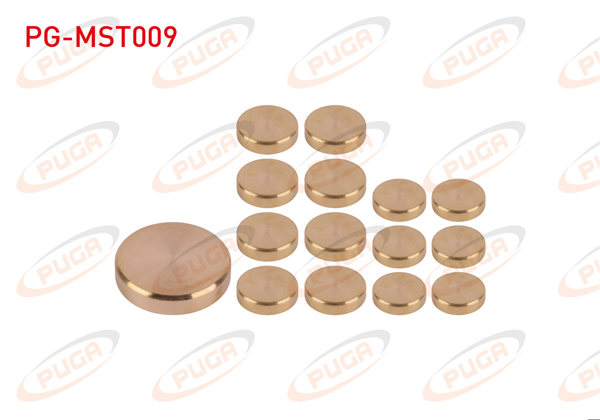 PUGA PG-MST009 | Motor Su Blok Tapası Takım Sarı Pırınc Kia Bongo