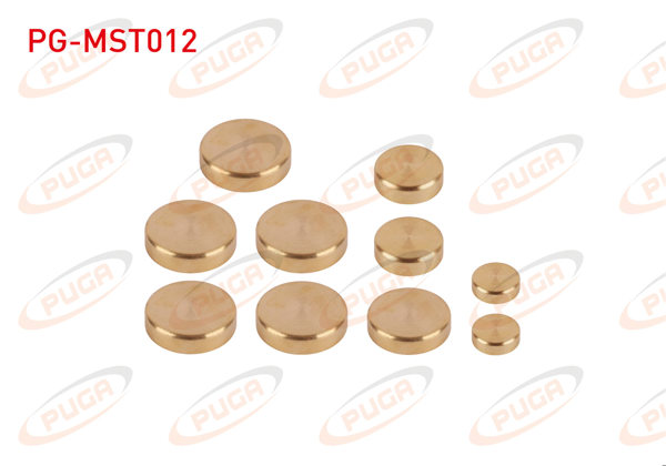 PUGA PG-MST012 | Motor Su Blok Tapası Takım Sarı Pırınc Kia Besta