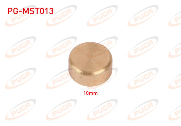 PUGA PG-MST013 | Motor Blok Su Tapası 10mm Sarı Pırınc | 5 Adet