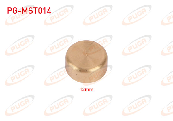 PUGA PG-MST014 | Motor Blok Su Tapası 12mm Sarı Pırınc | 5 Adet
