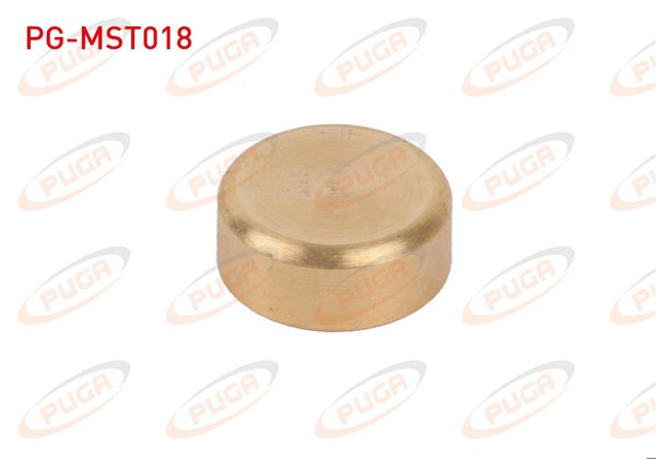 PUGA PG-MST018 | Motor Blok Su Tapası 22mm Sarı Pırınc | 5 Adet