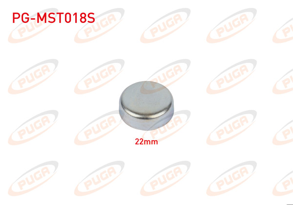 PUGA PG-MST018S | Motor Blok Su Tapası 22mm | 5 Adet