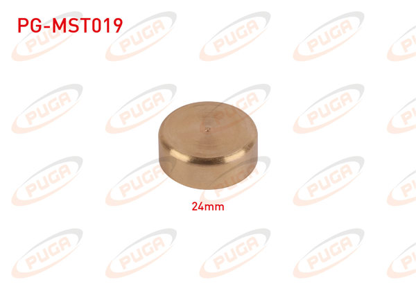PUGA PG-MST019 | Motor Blok Su Tapası 24mm Sarı Pırınc | 5 Adet