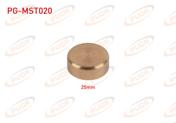 PUGA PG-MST020 | Motor Blok Su Tapası 25mm Sarı Pırınc | 5 Adet