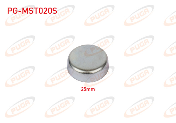 PUGA PG-MST020S | Motor Blok Su Tapası 25mm | 5 Adet