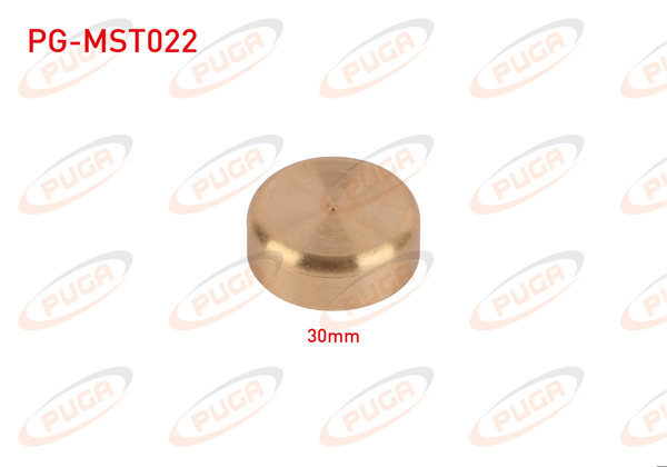 PUGA PG-MST022 | Motor Blok Su Tapası 30mm Sarı Pırınc | 5 Adet