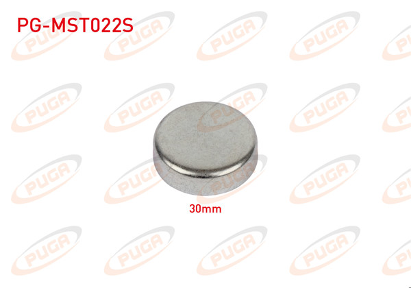 PUGA PG-MST022S | Motor Blok Su Tapası 30mm | 5 Adet