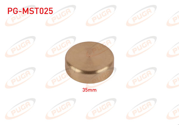 PUGA PG-MST025 | Motor Blok Su Tapası 35mm Sarı Pırınc | 5 Adet
