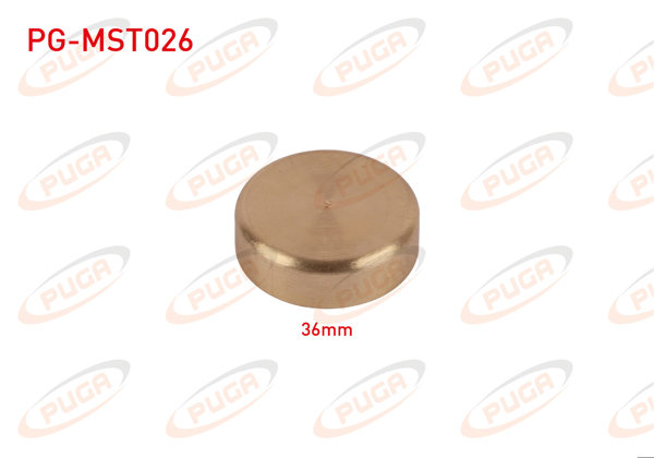 PUGA PG-MST026 | Motor Blok Su Tapası 36mm Sarı Pırınc | 5 Adet