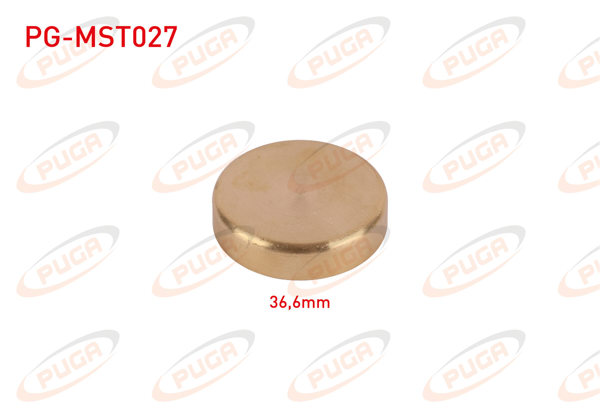 PUGA PG-MST027 | Motor Blok Su Tapası 36,6mm Sarı Pırınc | 5 Adet