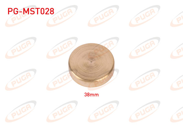 PUGA PG-MST028 | Motor Blok Su Tapası 38mm Sarı Pırınc | 5 Adet