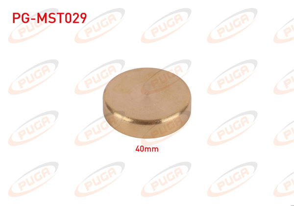 PUGA PG-MST029 | Motor Blok Su Tapası 40mm Sarı Pırınc | 5 Adet