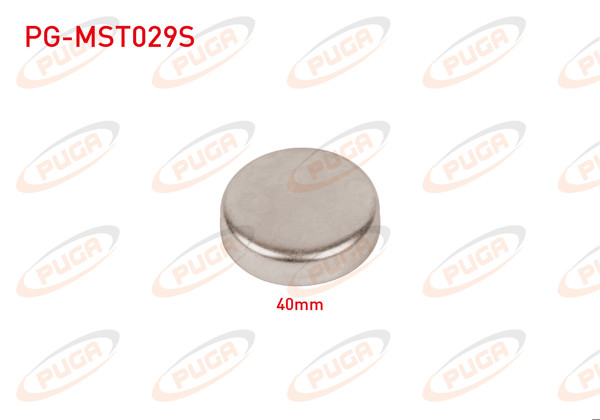 PUGA PG-MST029S | Motor Blok Su Tapası 40mm | 5 Adet