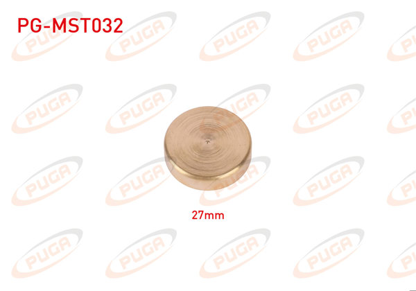 PUGA PG-MST032 | Motor Blok Su Tapası 27mm Sarı Pırınc | 5 Adet