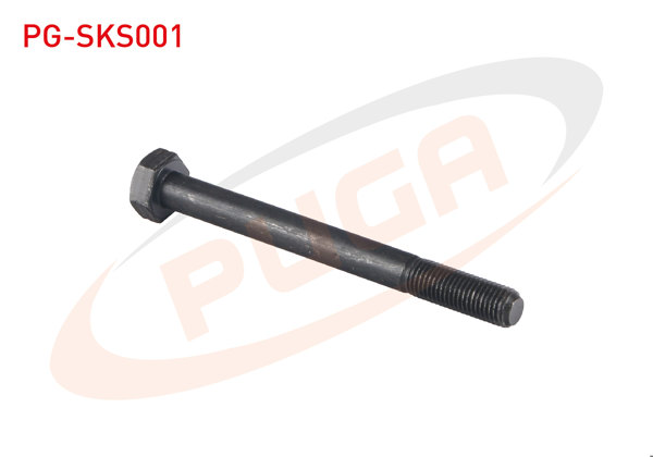 PUGA PG-SKS001 | Silindir Kapak Saplaması Kısa Dks | 10 Adet