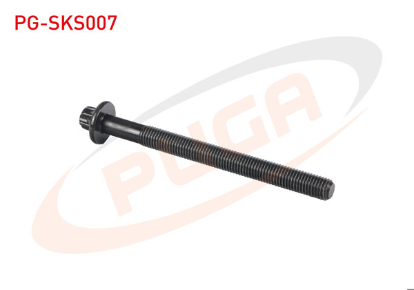 PUGA PG-SKS007 | Silindir Kapak Saplaması Clio / Kangoo / Megane Dizel | 10 Adet