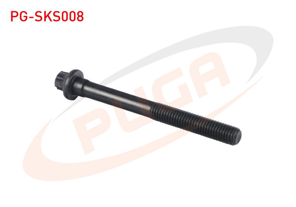 PUGA PG-SKS008 | Silindir Kapak Saplaması Kısa Clio / Kangoo / Megane Benzinli | 10 Adet