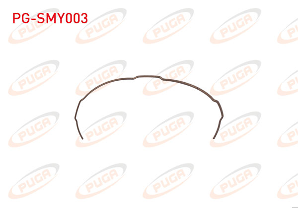 PUGA PG-SMY003 | Senkromec Yayı Megane II / Master II