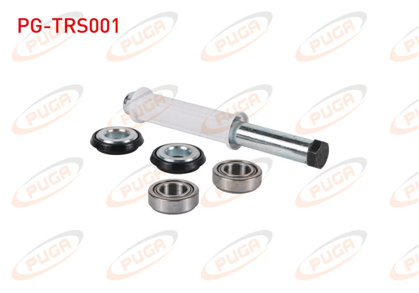 PUGA PG-TRS001 | Torsiyon Tamir Takımı Rulmanlı Tempra-Tipo