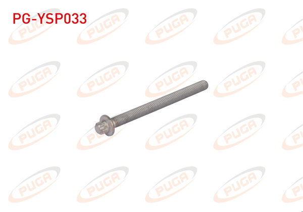 PUGA PG-YSP033 | Enjektör Kutuk Cıvatası BMW 3 Serisi F30 / 5 Serisi F10 | 4 Adet