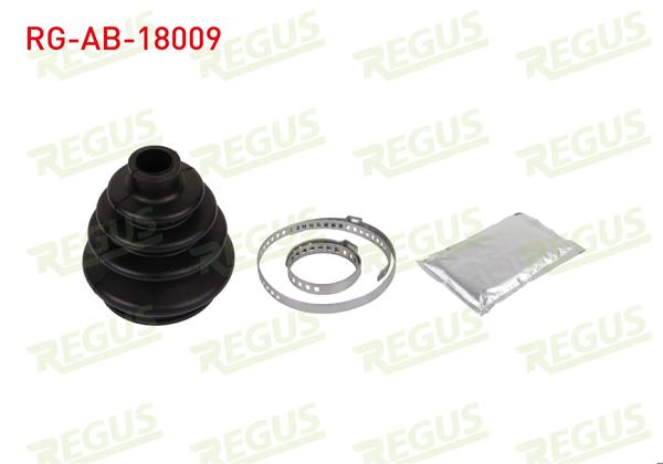 REGUS RG-AB-18009 | Aks Körüğü Dıs Kit Tempra / Tipo / Uno