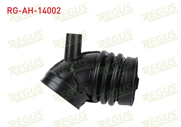 REGUS RG-AH-14002 | Hava Filtre Hortumu BMW 3 Serisi (E46) 316 İ 1998-2005