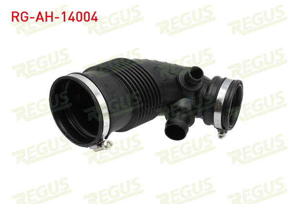 REGUS RG-AH-14004 | Hava Filtre Borusu BMW 3 Serisi (F30) 316 İ 2011 -