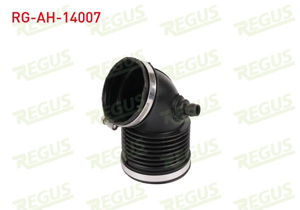 REGUS RG-AH-14007 | Hava Filtre Körüğü BMW 1 Serisi (E87)