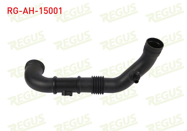 REGUS RG-AH-15001 | Hava Filtre Hortumu Jumper-Boxer 2.2 HDI