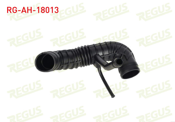 REGUS RG-AH-18013 | Hava Filtre Hortumu Fiat Palio (178Bx) (178Dx) 1.2İ 16V 1996-2005