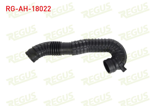 REGUS RG-AH-18022 | Hava Filtre Hortumu Fiat Palio (178Bx) (178Dx) 1.6İ 16V 1996-2005