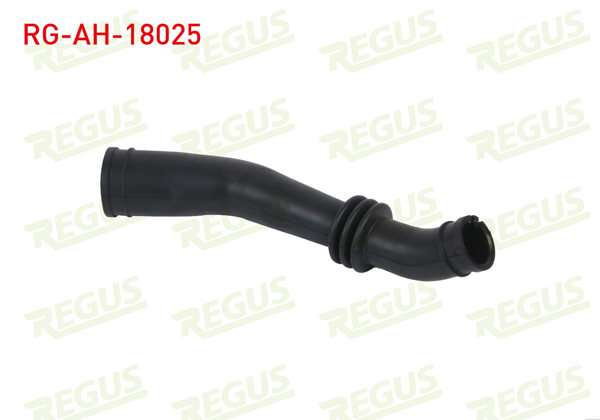REGUS RG-AH-18025 | Hava Filtre Hortumu SLX
