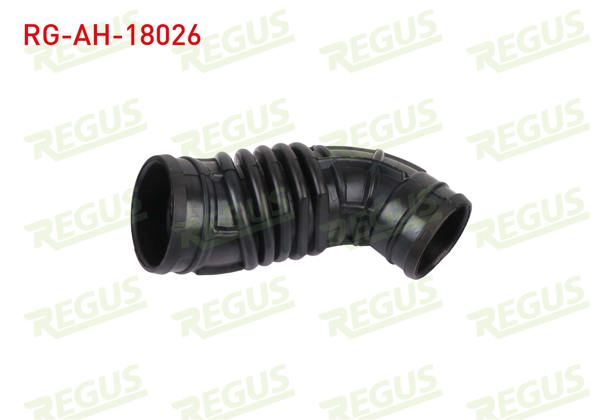 REGUS RG-AH-18026 | Hava Filtre Hortumu Egea 1.3 Mtj 2015 -