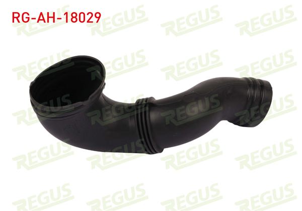 REGUS RG-AH-18029 | Hava Filtre Hortumu Egea 1.3 Mtj 2015-(Montaj Urunu)