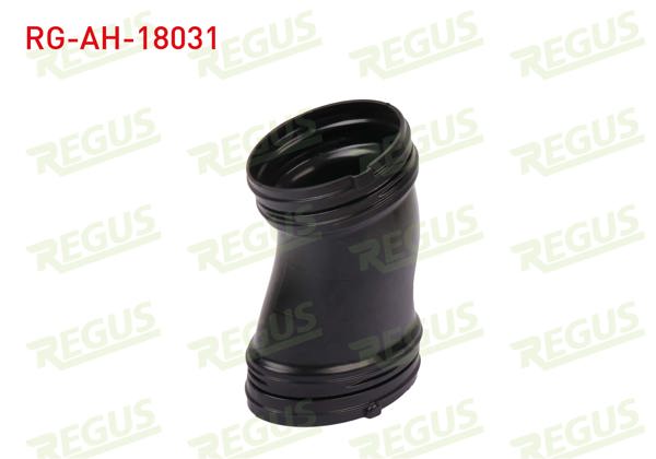 REGUS RG-AH-18031 | Hava Filtre Ara Hortumu Egea 1.3 Mtj 2015-(Montaj Urunu)