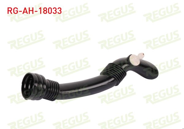 REGUS RG-AH-18033 | Hava Filtre Hortumu Egea 1.3 Mtj 2015-(Montaj Urunu)