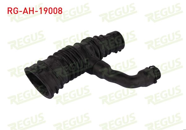 REGUS RG-AH-19008 | Hava Filtre Hortumu Ford Focus II (Da) 1.6 TDCI 2004-2011