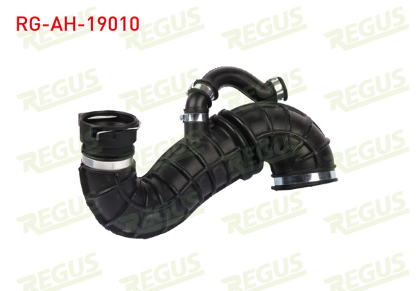 REGUS RG-AH-19010 | Hava Filtre Hortumu Ford Transit Connect 1.8 TDCI 2002-2014