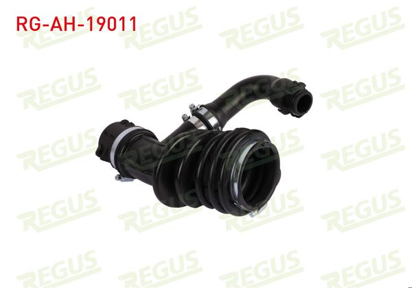 REGUS RG-AH-19011 | Hava Filtre Hortumu Ford Focus II (Da) 1.6 TDCI 2004-2011