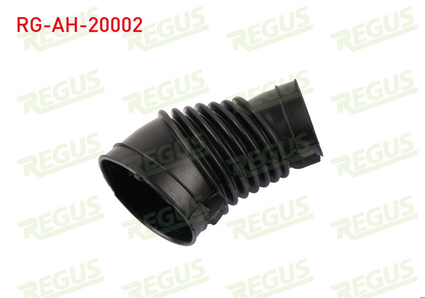 REGUS RG-AH-20002 | Hava Filtre Hortumu Cr-V 1.6 İ-Dtec