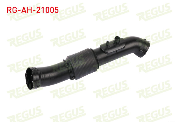 REGUS RG-AH-21005 | Hava Filtre Hortumu Tuscon 1.6