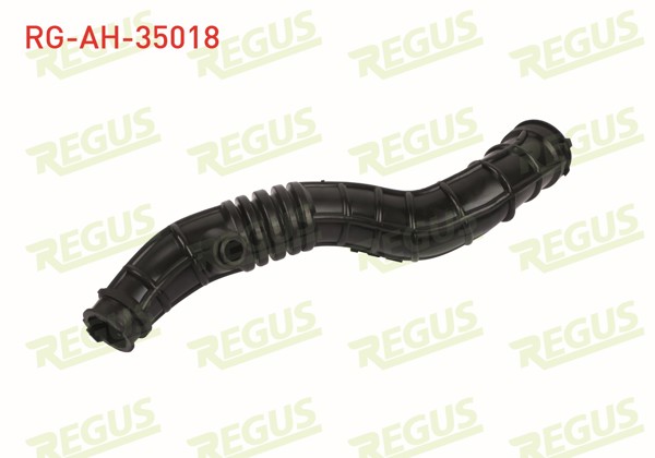 REGUS RG-AH-35018 | Hava Filtre Hortumu Renault Clio II (Bb0 / 1 / 2,Cb0 / 1 / 2) 1.5 DCI 1998-2005