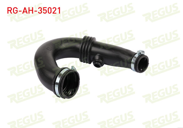 REGUS RG-AH-35021 | Hava Filtre Borusu Clio / Kangoo 1.5 DCI