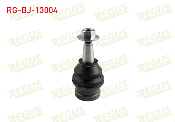 REGUS RG-BJ-13004 | Rotil Alt Audi A4 2007 -