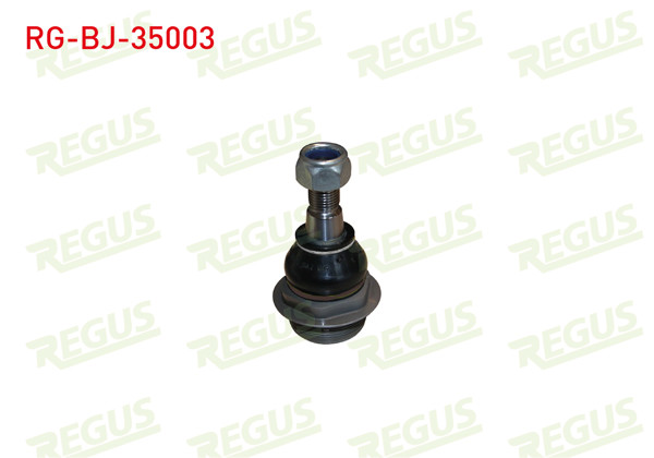 REGUS RG-BJ-35003 | Rotil Ön Sağ Alt Renault Master III 2010-/ Opel Movano 2010 -