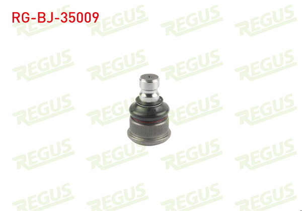 REGUS RG-BJ-35009 | Rotil Cap Ø22 Ön Alt Renault Master 1998-2010 / Opel Movano A 1998-2010 / Nissan Interstar 2002-2010