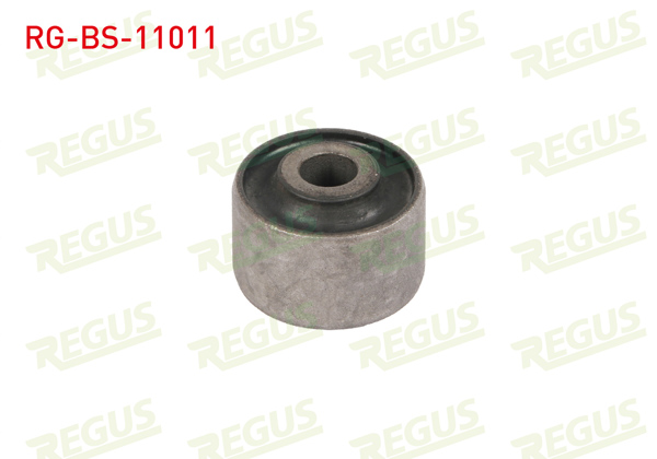 REGUS RG-BS-11011 | Denge Kol Burcu Arka Sol-Sağ Alt Alfa Romeo 147 (937) 1.6 2001-2010