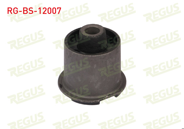 REGUS RG-BS-12007 | Denge Kol Burcu Ön Sol-Sağ Üst Chrysler 300C (Lx) 2.7 2004-2011